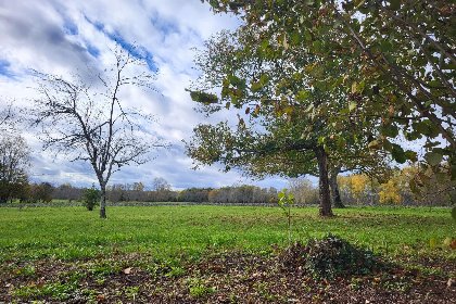 023 Maison des Prairies