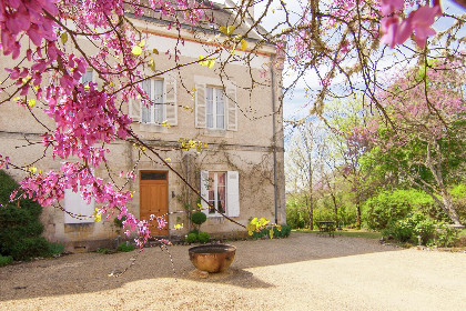 Frankrijk, DORDOGNE, Brouchaud