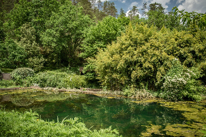 025 Gite Moulin de lAlbarede