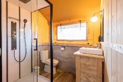 004 Dreamer 40 004 Dreamer 40