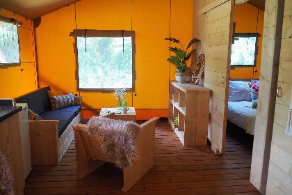 005 Dreamer 40 005 Dreamer 40