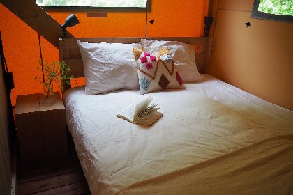 006 Dreamer 40 006 Dreamer 40