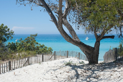 Frankrijk, Haute corse, Oletta