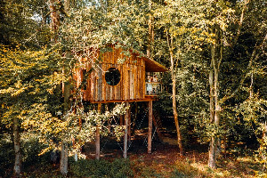 Dichtbij in Saint Léger aux Bois