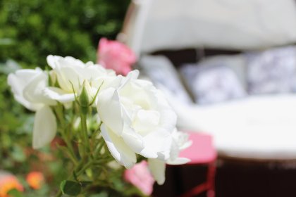 034 La maison des Vendangeurs 6