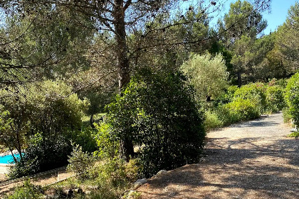 009 Dans les bois avec piscine