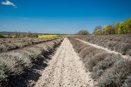 029 Gite la Bergerie