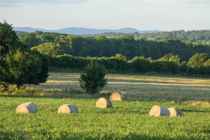 036 Savigny