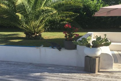 002 Villa Saphir 002 Villa Saphir