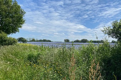 043 Villa Mille Etoiles | 4 kamer villa | 6 personen | Les Forges Villas