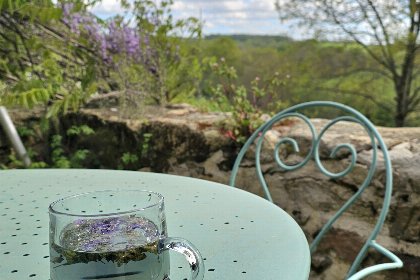 020 Les 3 Clefs de GaYa