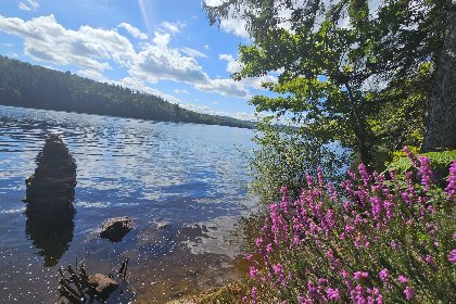 030 Les 3 Clefs de GaYa