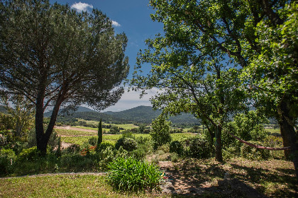 009 Entre les vignes