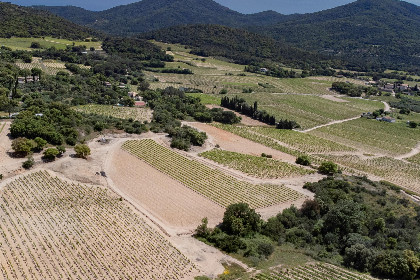 012 Entre les vignes