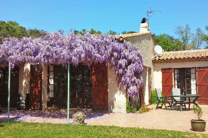 037 Entre les vignes