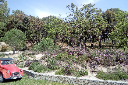 038 Entre les vignes