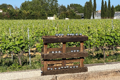 039 Entre les vignes