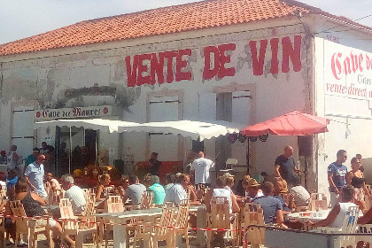 041 Entre les vignes