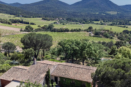045 Entre les vignes