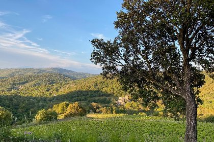 038 Les Roches du Sud