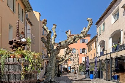 040 Vue Jardin