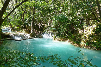 031 La Bergeronnette