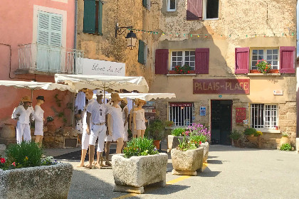 036 La Bergeronnette