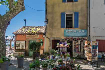 039 La Bergeronnette