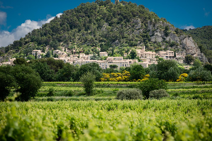 054 Bastide St John