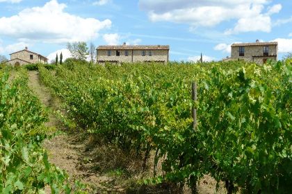 011 Poggio Panoramico