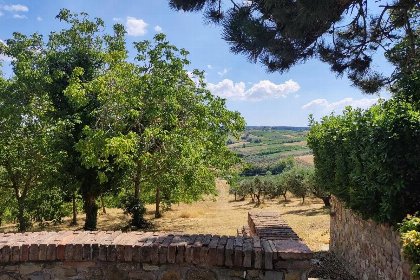 004 Agriturismo Santa Cristina