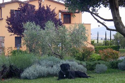 010 Agriturismo Fattoria dei Fiori