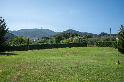 010 Le Vigne di Lucca