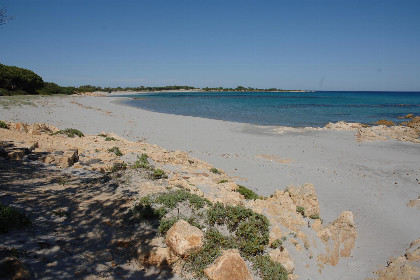 011 Villa Liberotto