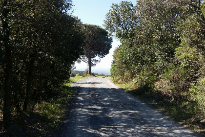 027 Agriresidence Ortacavoli