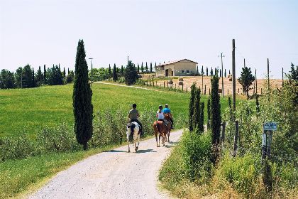 015 Agriturismo Diacceroni