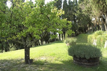 020 Villa del Monte