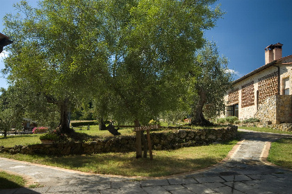 003 Borgo di Castel San Gimignano