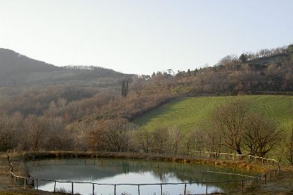 006 Podere Montepulciano