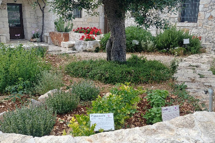 007 Agriturismo Trulli il Castagno
