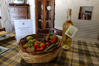 013 Agriturismo Trulli il Castagno