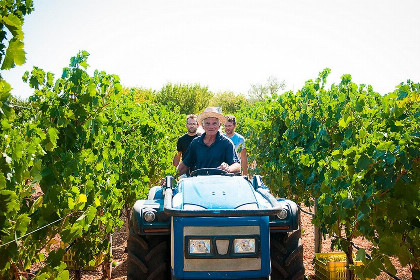 016 Agriturismo Trulli il Castagno