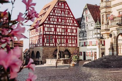 010 Panorama Lodge | 4 personen