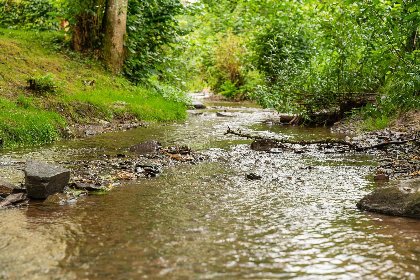 021 Panorama Lodge | 4 personen