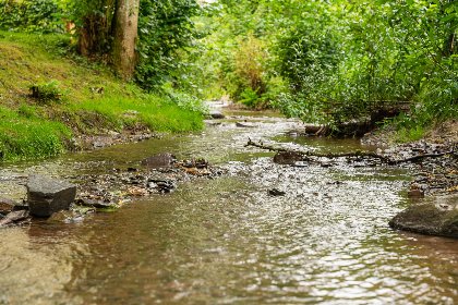 021 Tiny House | 2 personen