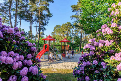 010 Heerlijk 4 persoons chalet op een natuurrijk vakantiepark aan de rand van Nationaal Park