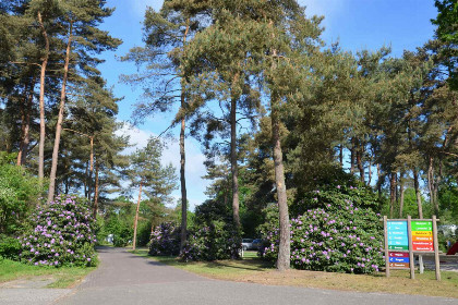 017 Heerlijk 4 persoons chalet op een natuurrijk vakantiepark aan de rand van Nationaal Park