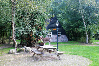 005 Prachtig ouderwets 4 persoons Plaggenhut in Drenthe