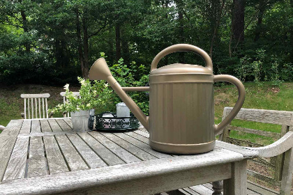 008 6 persoons vakantiehuis in Diever op een kleinschalig vakantiepark gelegen in het bos