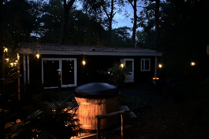 014 Bosrijke 4 persoons chalet met hottub en sauna in grote prive tuin in Diever